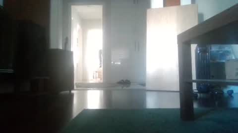 Snapshot of mrhandsomelovee chatting on February 6, 2026, 9:23 am Nikola online show from February 6, 2026, 9:23 am