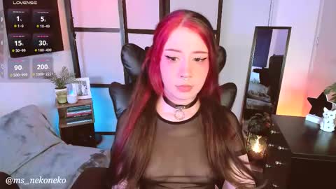 Snapshot of ms_nekoneko chatting on November 23, 2025, 10:09 pm schedule monday tuesday wednesday thursday - sunday online show from November 23, 2025, 10:09 pm