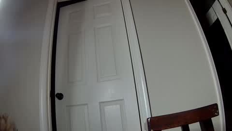 Snapshot of ms_queen chatting on December 2, 2024, 3:37 am missqueenbbw online show from December 2, 2024, 3:37 am