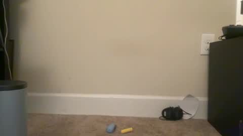 msduss351 online show from January 19, 2025, 11:56 am