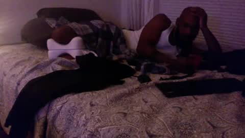 mt visuals online show from January 10, 2025, 11:18 pm