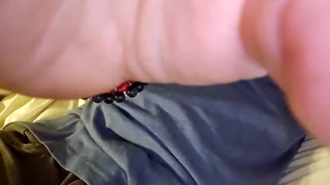 Snapshot of mtnclimber1 chatting on November 19, 2025, 10:54 pm mtnclimber1 online show from November 19, 2025, 10:54 pm