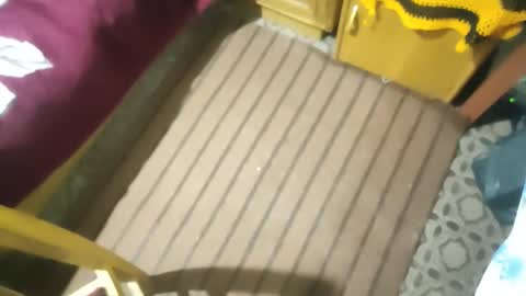 zenon online show from October 26, 2025, 2:50 am