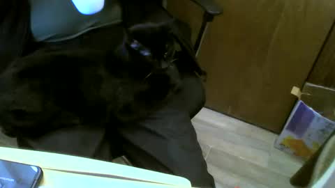 muller520 online show from January 23, 2025, 6:14 pm