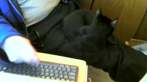 muller520 online show from March 2, 2025, 11:39 am