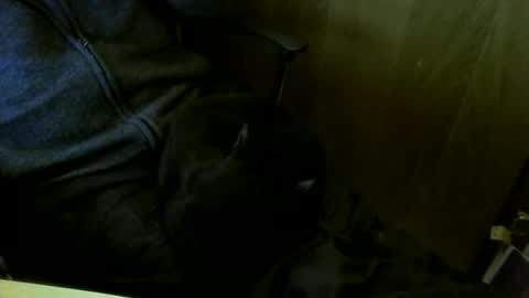 muller520 online show from March 18, 2026, 5:16 pm