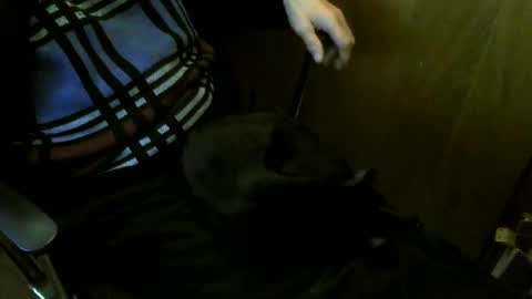 muller520 online show from March 27, 2026, 7:35 pm