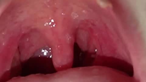 muscle_king_cum online show from October 30, 2025, 1:56 pm