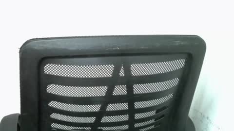 Snapshot of muscle_queen0 chatting on February 18, 2026, 6:42 am muscle_queen0 online show from February 18, 2026, 6:42 am