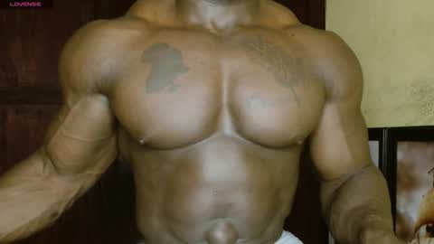 Snapshot of musclegodsammy23 chatting on February 19, 2026, 2:46 pm musclegod23 online show from February 19, 2026, 2:46 pm