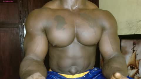 Snapshot of musclegodsammy23 chatting on February 20, 2026, 2:39 pm musclegod23 online show from February 20, 2026, 2:39 pm