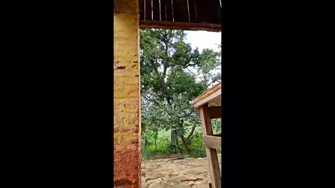 mwmgaara online show from March 12, 2026, 2:56 pm