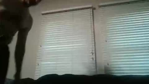 Snapshot of my_little_vienna_sausage chatting on November 16, 2025, 10:26 pm vienna online show from November 16, 2025, 10:26 pm