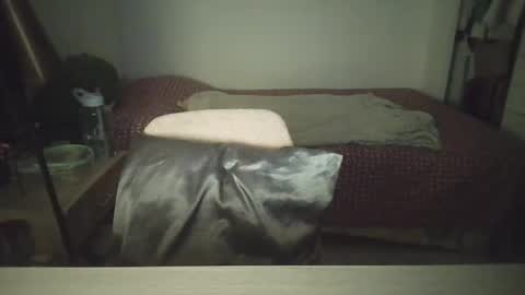 Snapshot of mysteriousbaby18 chatting on February 2, 2026, 11:36 pm Demi online show from February 2, 2026, 11:36 pm