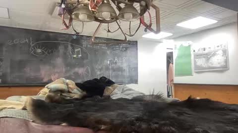 mysteriousmadam_ online show from November 13, 2025, 1:48 am