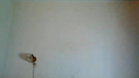 Snapshot of myungfagnant chatting on May 13, 2026, 7:28 am Reily online show from May 13, 2026, 7:28 am