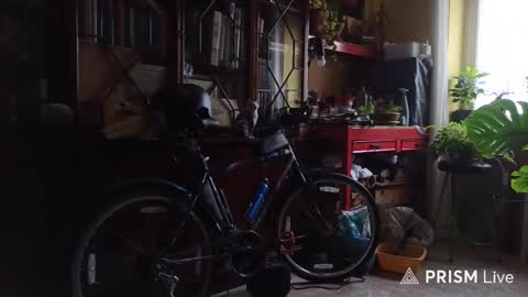 Snapshot of nakednudist72 chatting on February 13, 2026, 10:44 am Naked Naturist online show from February 13, 2026, 10:44 am