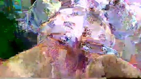 nano527 online show from February 12, 2026, 7:25 am