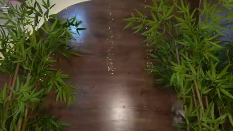 Snapshot of naomi_rex chatting on May 11, 2026, 7:33 pm naomi_rex online show from May 11, 2026, 7:33 pm