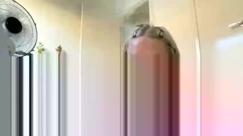 Snapshot of naomianderrsonx chatting on October 1, 2025, 7:03 am Naomi Anderrson online show from October 1, 2025, 7:03 am