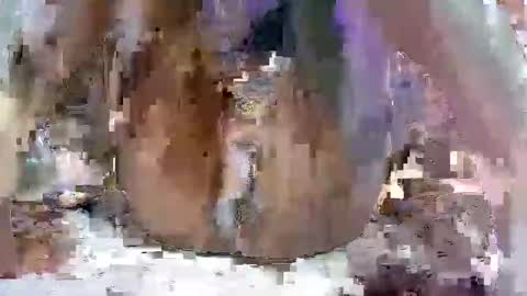 Snapshot of nasty_toy chatting on January 9, 2025, 6:17 am nasty toy online show from January 9, 2025, 6:17 am