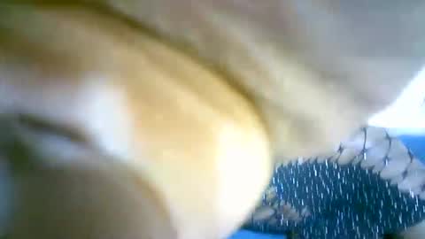 Marie online show from September 13, 2025, 4:34 am