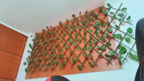 Kitten online show from April 14, 2026, 11:27 am