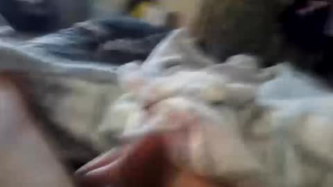 naughtyfelons6969 online show from October 4, 2025, 9:07 am