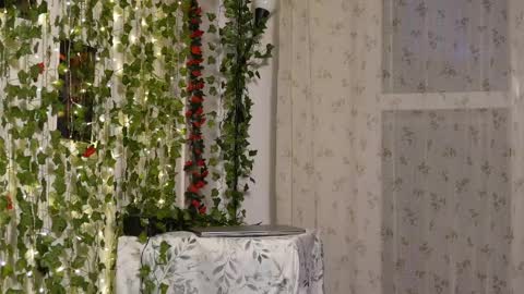 Mya Alexya online show from May 17, 2026, 6:48 pm