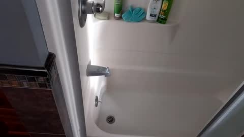 needsub online show from November 27, 2025, 9:50 pm