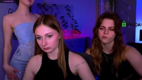 Meow online show from February 21, 2026, 12:28 pm