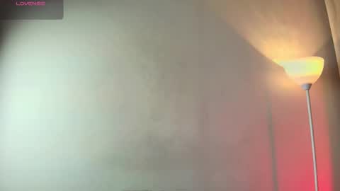 Snapshot of nelly_willd chatting on February 6, 2026, 12:19 pm nelly online show from February 6, 2026, 12:19 pm