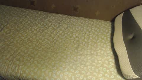 Lilly  online show from October 20, 2025, 3:40 am