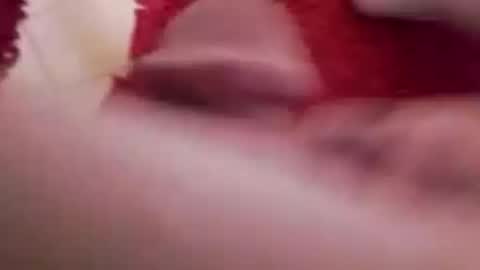 BookWriter online show from December 5, 2024, 7:49 am