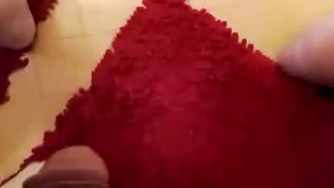 BookWriter online show from December 7, 2024, 8:33 am