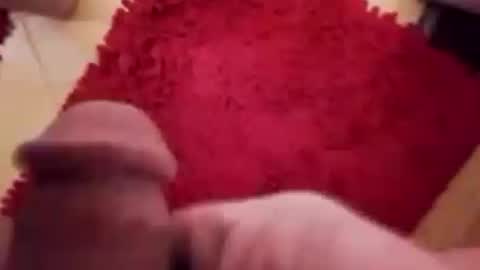 BookWriter online show from December 12, 2024, 7:30 am