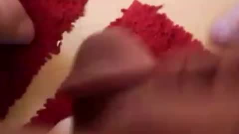 BookWriter online show from December 28, 2024, 8:16 am