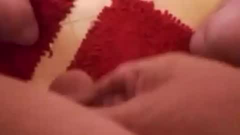 BookWriter online show from December 29, 2024, 8:22 am