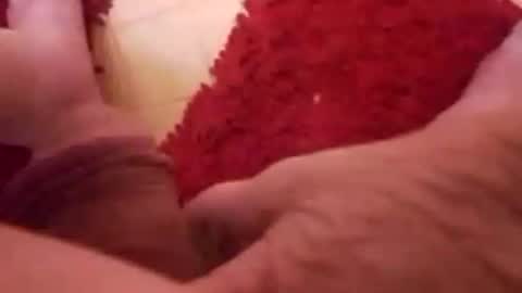 BookWriter online show from January 8, 2025, 6:52 am