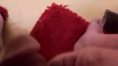 BookWriter online show from February 12, 2025, 7:02 am