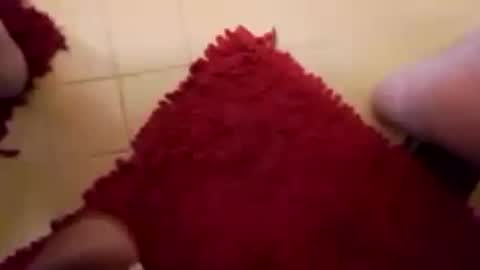 BookWriter online show from February 15, 2025, 7:38 am