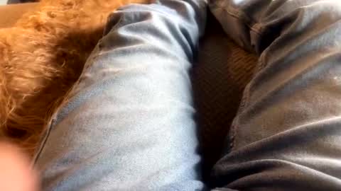 newjerseyhorny online show from December 15, 2024, 7:10 pm