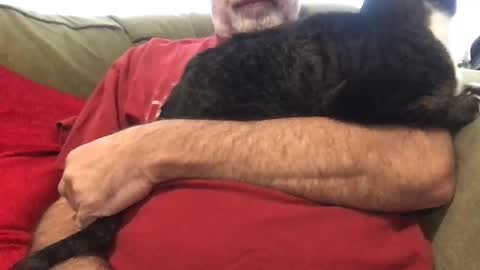 newtman68 online show from December 16, 2025, 6:57 pm