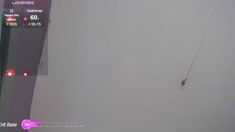 Snapshot of niawk_ chatting on February 7, 2025, 3:30 pm Niawk online show from February 7, 2025, 3:30 pm