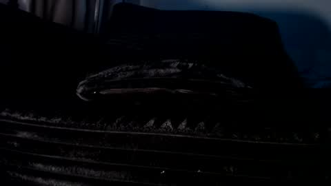 Cakedcouple  OF - Yourtattedcutie  qurlynfit online show from September 21, 2025, 6:20 pm