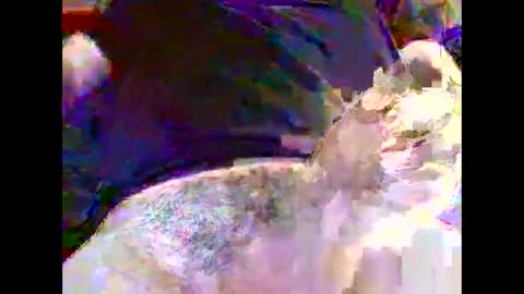 Nickyfruit online show from October 30, 2025, 9:22 am