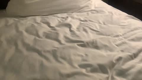 Snapshot of nickzoos3 chatting on January 29, 2025, 9:55 am Nick Zoos online show from January 29, 2025, 9:55 am