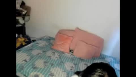 Snapshot of nicolefluffypussy chatting on February 15, 2026, 6:15 pm Nicole jaymes online show from February 15, 2026, 6:15 pm