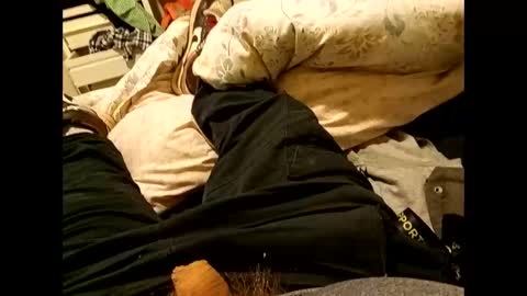 Snapshot of nigel1277 chatting on September 10, 2025, 8:36 am nigel1277 online show from September 10, 2025, 8:36 am