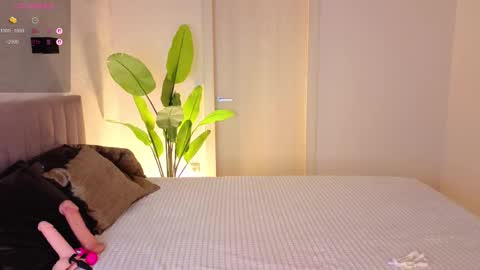 Snapshot of nightfloat chatting on September 13, 2025, 11:59 pm Daisy nd Tyler 3 online show from September 13, 2025, 11:59 pm